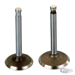 SOUPAPES DE REMPLACEMENT STOCK POUR BIG TWIN