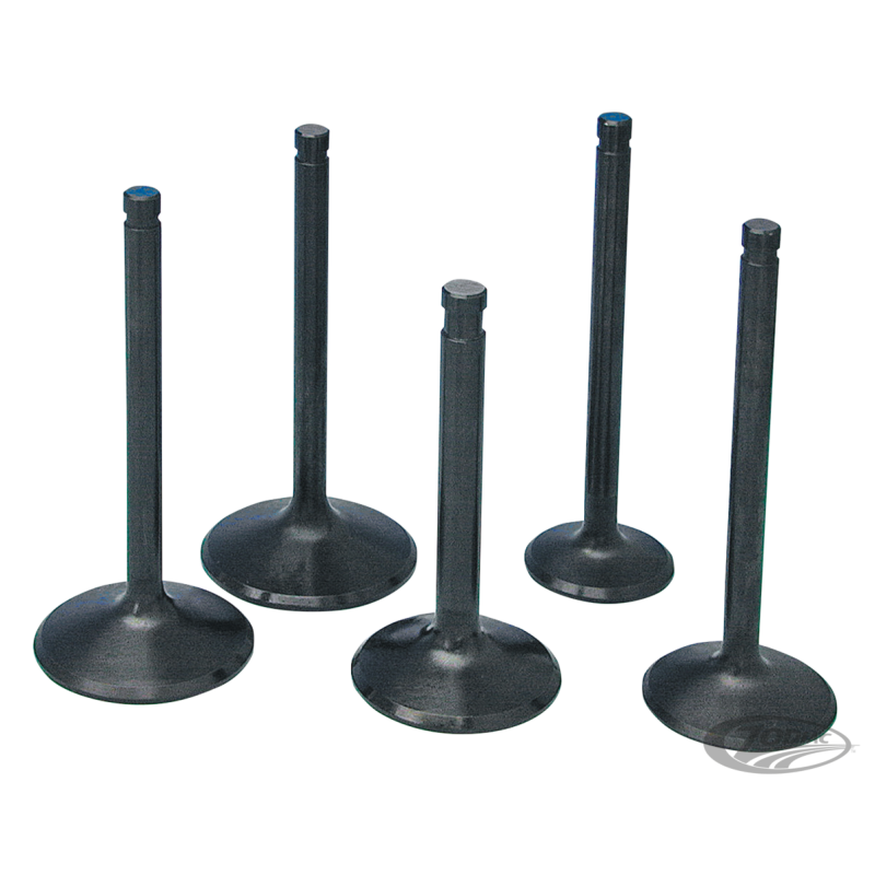 SOUPAPES EN INOX HAUTES PERFORMANCES "BLACK DIAMOND" PAR PRECISION MACHINING