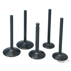 SOUPAPES EN INOX HAUTES PERFORMANCES "BLACK DIAMOND" PAR PRECISION MACHINING