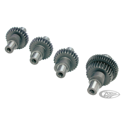 CAMES POUR SPORTSTER EVOLUTION