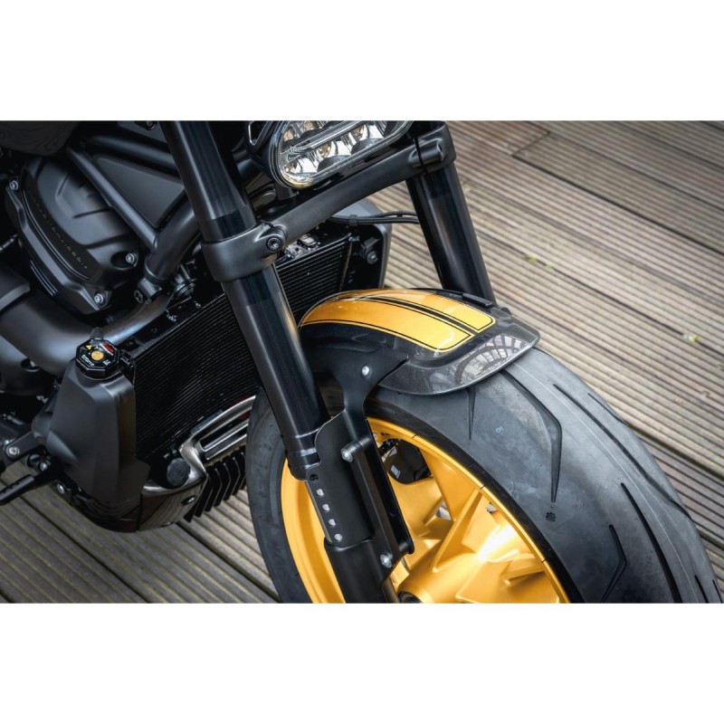 Sportster S Front Fender