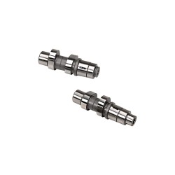 21H ANDREW CHAIN DRIVE CAMS