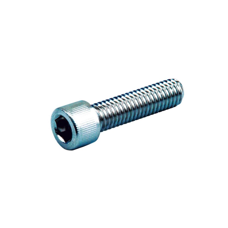 Grade 8 Allen Sockethead Screw Pack Chrome Grade 8 Allen head 1/4"-20 UNC 5/8"