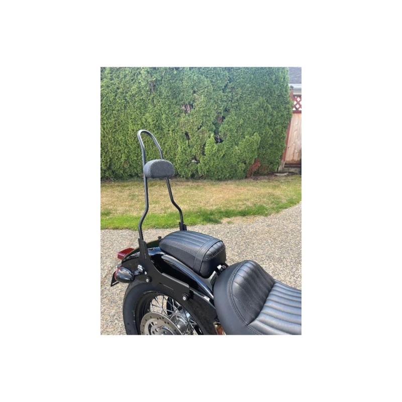 23" Quick Release Sissy Bar with Pad Gloss Black Powder Coated