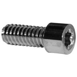 Smooth Sockethead Torx Screw Pack Chrome Hex head Torx 1/4"-20 UNC 2 1/2"