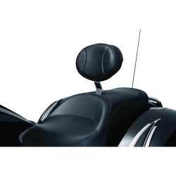 Plug-N-Go Driver Backrest