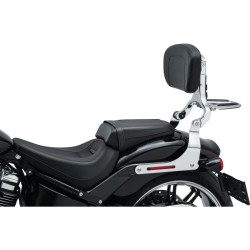 Multi Purpose Solid Backrest Mounts Chrome