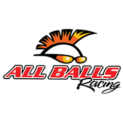 ALL BALLS RACING